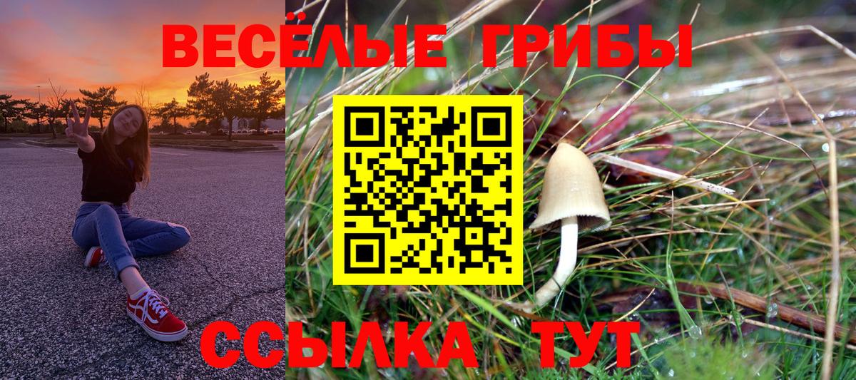 купить наркотики цена  Вход с VPN  Балахна  Галлюциногенные грибы мухоморы 