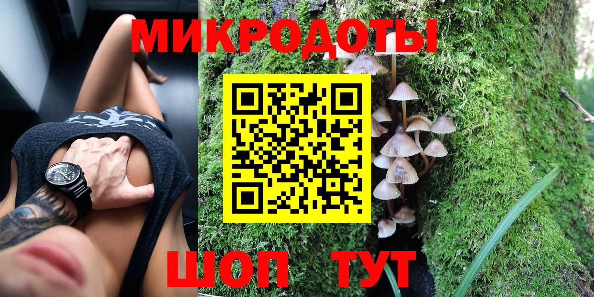 Галлюциногенные грибы Psilocybine cubensis Балахна